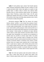 Diplomdarbs 'Personu ar garīgās attīstības traucējumiem deinstitucionalizācijas process VSAC ', 28.