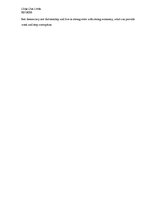 Eseja 'Internal Causes of the Syrian Civil War', 4.