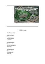 Konspekts 'Rainis "Gals un sākums". Dzejoļu krājuma analīze', 13.