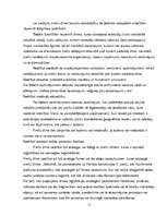 Referāts 'Preču zīmes', 11.