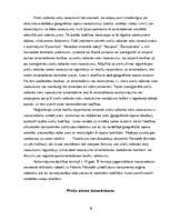 Referāts 'Preču zīmes', 19.