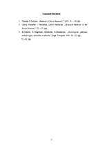 Eseja 'Jēdzienu interpretācija socioloģiskā pētījumā', 5.