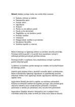 Konspekts 'Bilance un tās posteņi', 3.