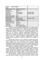 Referāts 'Divlīmeņu banku sistēma Latvijā', 31.