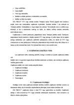 Referāts 'Iekšējās un ārējās vides faktoru analīze', 5.