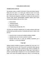 Konspekts 'Piekrastes kāpas Latvijā', 2.