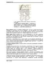 Referāts 'Tārpi', 5.