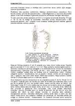 Referāts 'Tārpi', 6.