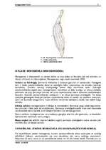 Referāts 'Tārpi', 8.