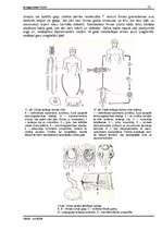 Referāts 'Tārpi', 13.