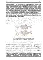 Referāts 'Tārpi', 16.