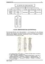 Referāts 'Tārpi', 25.