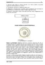 Referāts 'Tārpi', 35.