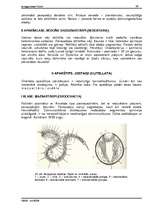 Referāts 'Tārpi', 39.