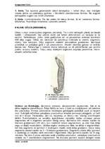 Referāts 'Tārpi', 40.