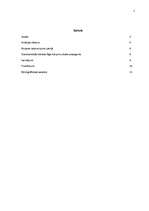 Konspekts 'Aviācija Latvijā', 2.