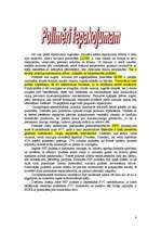 Referāts 'Polimēri', 6.