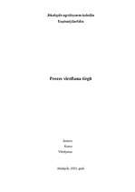 Referāts 'Preces virzīšana tirgū - rekāma', 1.