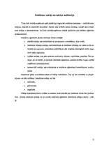 Referāts 'Preces virzīšana tirgū - rekāma', 12.