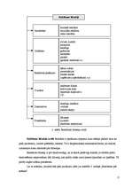 Referāts 'Preces virzīšana tirgū - rekāma', 15.