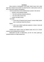 Referāts 'Divtaktu motoru akustiskā un termodiagnostika', 2.