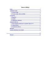 Referāts 'Divtaktu motoru akustiskā un termodiagnostika', 4.