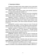 Referāts 'Divtaktu motoru akustiskā un termodiagnostika', 11.