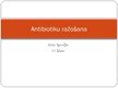 Prezentācija 'Antibiotiku ražošana', 1.