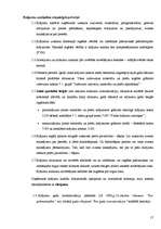 Prakses atskaite 'Grāmatvedības paņēmienu pielietojums', 17.