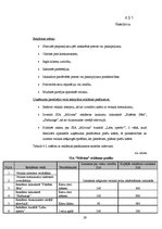 Biznesa plāns 'Biznesa plāns par SIA "Milvina"', 29.