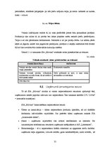 Biznesa plāns 'Biznesa plāns par SIA "Milvina"', 32.