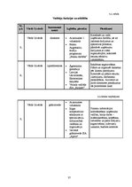 Biznesa plāns 'Biznesa plāns par SIA "Milvina"', 37.