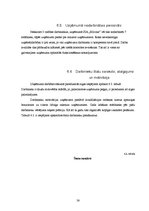 Biznesa plāns 'Biznesa plāns par SIA "Milvina"', 38.