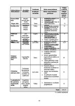 Biznesa plāns 'Biznesa plāns par SIA "Milvina"', 44.