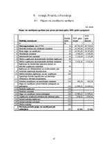 Biznesa plāns 'Biznesa plāns par SIA "Milvina"', 45.