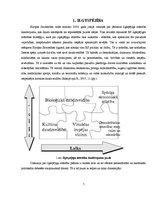 Referāts 'Vides ilgtspējības aspekti mājturības stundās pamatskolā', 5.