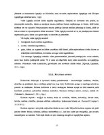 Referāts 'Vides ilgtspējības aspekti mājturības stundās pamatskolā', 17.