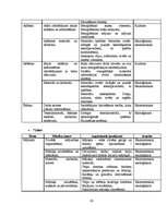 Referāts 'Vides ilgtspējības aspekti mājturības stundās pamatskolā', 26.