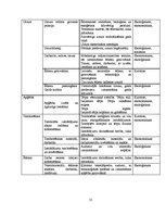 Referāts 'Vides ilgtspējības aspekti mājturības stundās pamatskolā', 31.