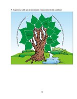 Referāts 'Vides ilgtspējības aspekti mājturības stundās pamatskolā', 38.