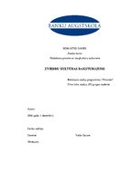 Referāts 'Zviedru kultūras raksturojums', 1.