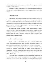 Referāts 'Zviedru kultūras raksturojums', 9.