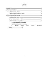 Referāts 'Politiskie režīmi un to veidi', 1.