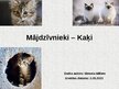 Prezentācija 'Mājdzīvnieki - kaķi', 1.