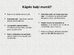 Prezentācija 'Mājdzīvnieki - kaķi', 6.