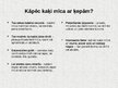 Prezentācija 'Mājdzīvnieki - kaķi', 7.
