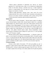 Referāts 'Ekonomika Vācijā', 11.