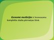 Prezentācija 'Genoma mutācija', 3.