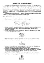 Konspekts 'Bērnu cerebrālā trieka', 1.