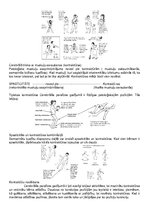 Konspekts 'Bērnu cerebrālā trieka', 11.